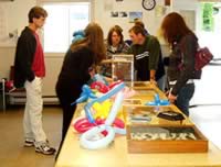 Cornell boxes of insects and live cockroaches were a definite hit! (22kb)